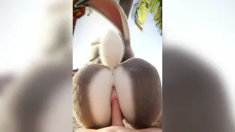 Judy Hopps Compilation