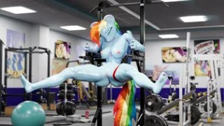 Rainbow Dash Workout Gym