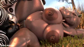 zebra fucks hippo