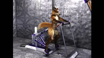 Yiffing Machine Taurin Fox