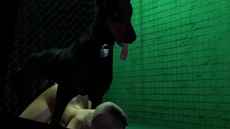 Fucking a Dog on Command