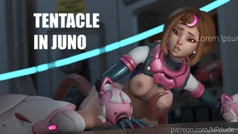 Juno is  on the table