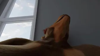Hungry giantess