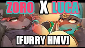 [Furry Hmv] Zoro X Luca