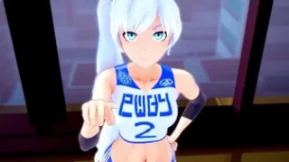 weiss schnee  impregnation