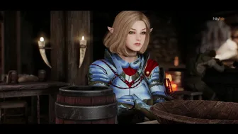 Lost Elven Adventurer (FULL)