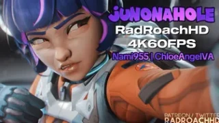 Jun Onahole [RadRoachHD][4K60FPS]