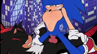 Sonic and Shadow [shaddycatz]