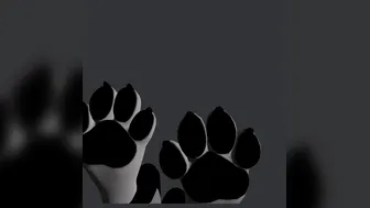 paws arf