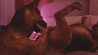 Doggie found the second one