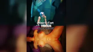 Black Cat vs Black Widow