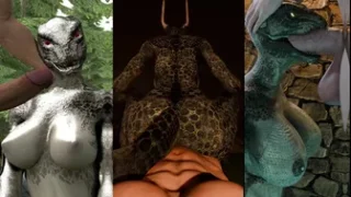 Argonian & Khajiit PMV