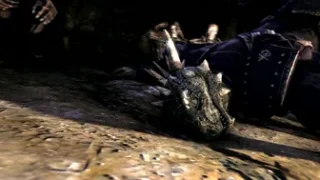 The Argonian Thief