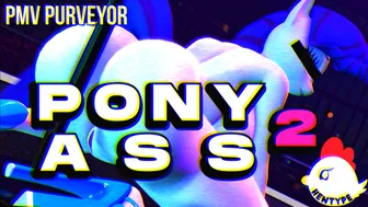 P O N Y A S S 2