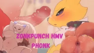Zonkpunch HMV/PMV phonk (request)