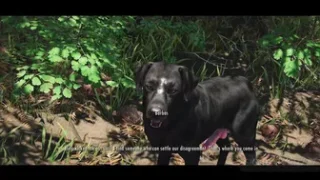 The first meeting with Barbas