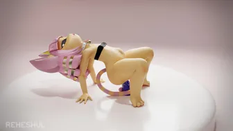 Kitty training