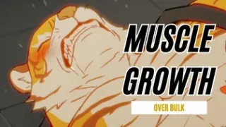 Muscle Growth OverBulk Part.1