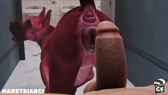 Great Dane in a bathroom stall