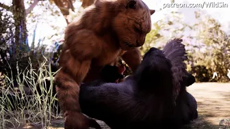 Lords of The Jungle Furry GAY